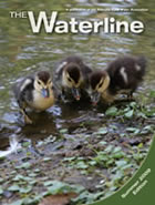 Waterline, Summer 2009