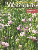 Waterline, Spring 2013