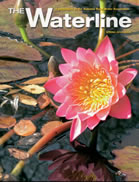 Waterline, Spring 2014
