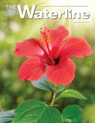 Summer 2017 Waterline