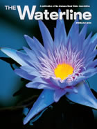 Spring Waterline 2017